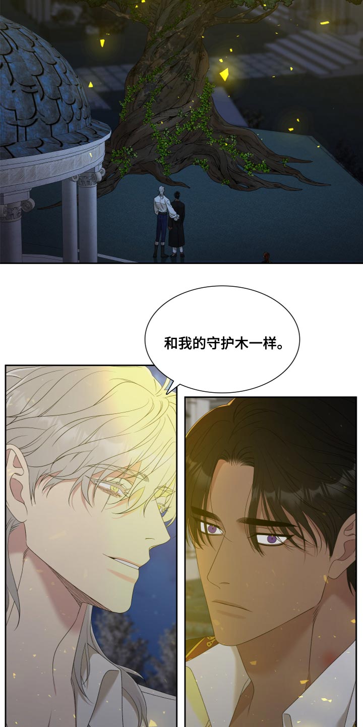 第34章：橄榄树17