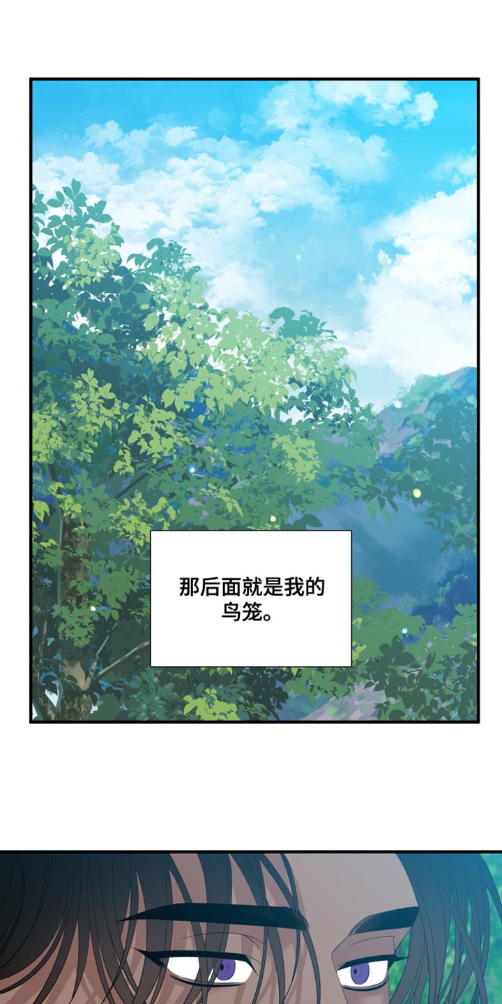 第74章：【第二季】鸟笼20