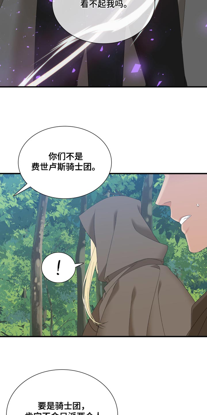 第67章：【第二季】斯朗的精灵6