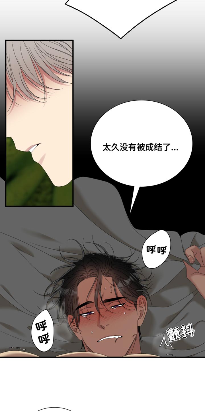第65章：【第二季】不是这个名字10