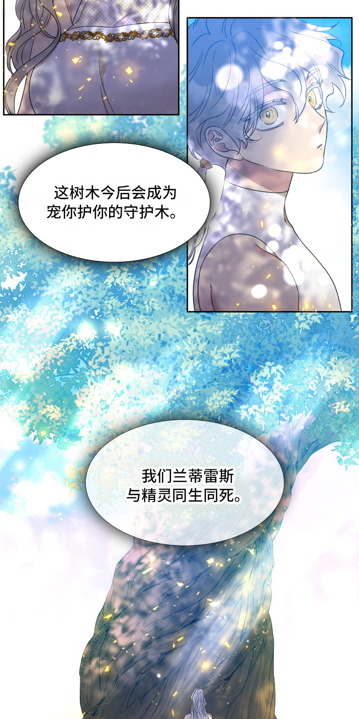 第11章：争论9