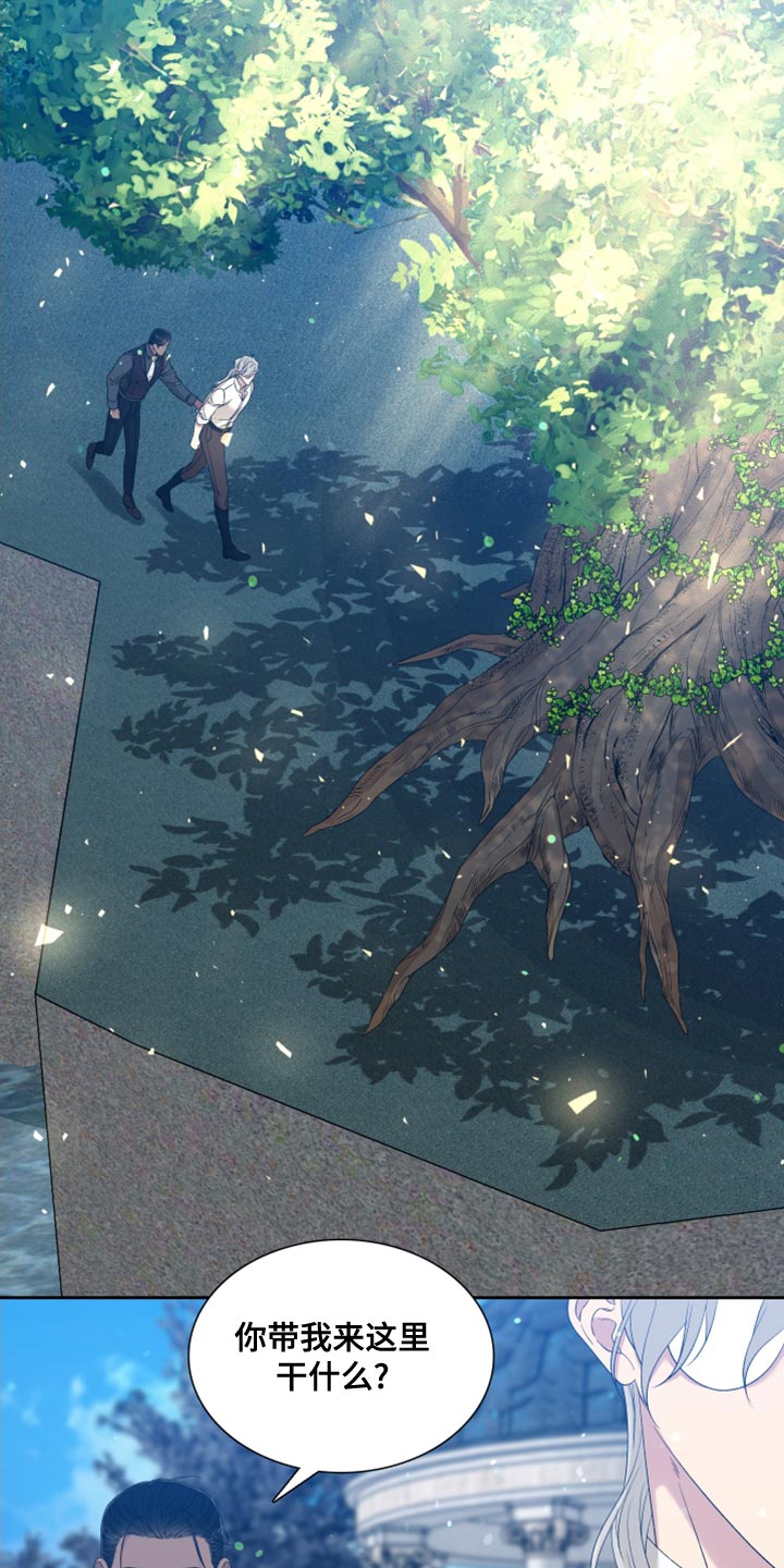 第38章：精灵12