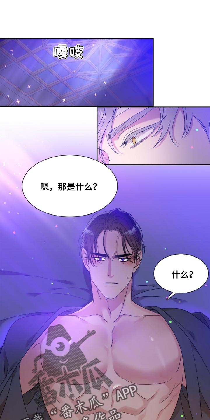 第14章：纹样0