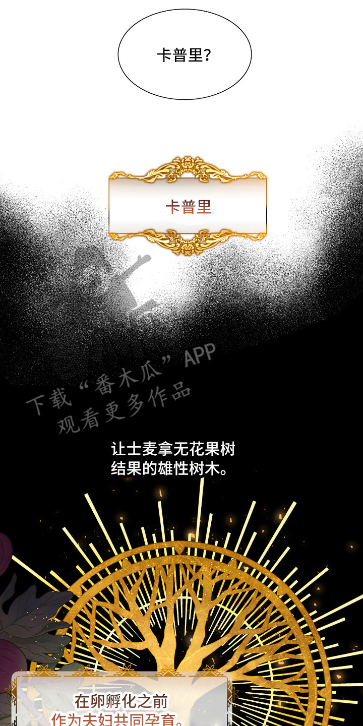 第7章：卡普里7