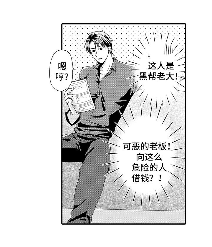 第1章：无良公司13