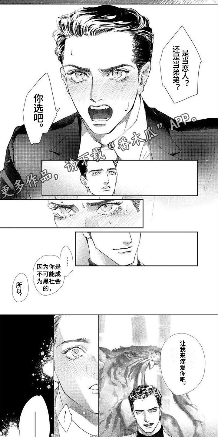 第4章：选择2