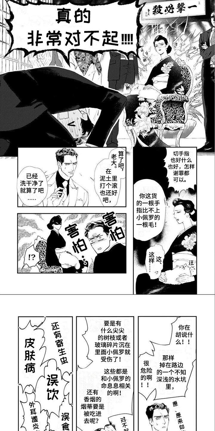 第1章：失误了5