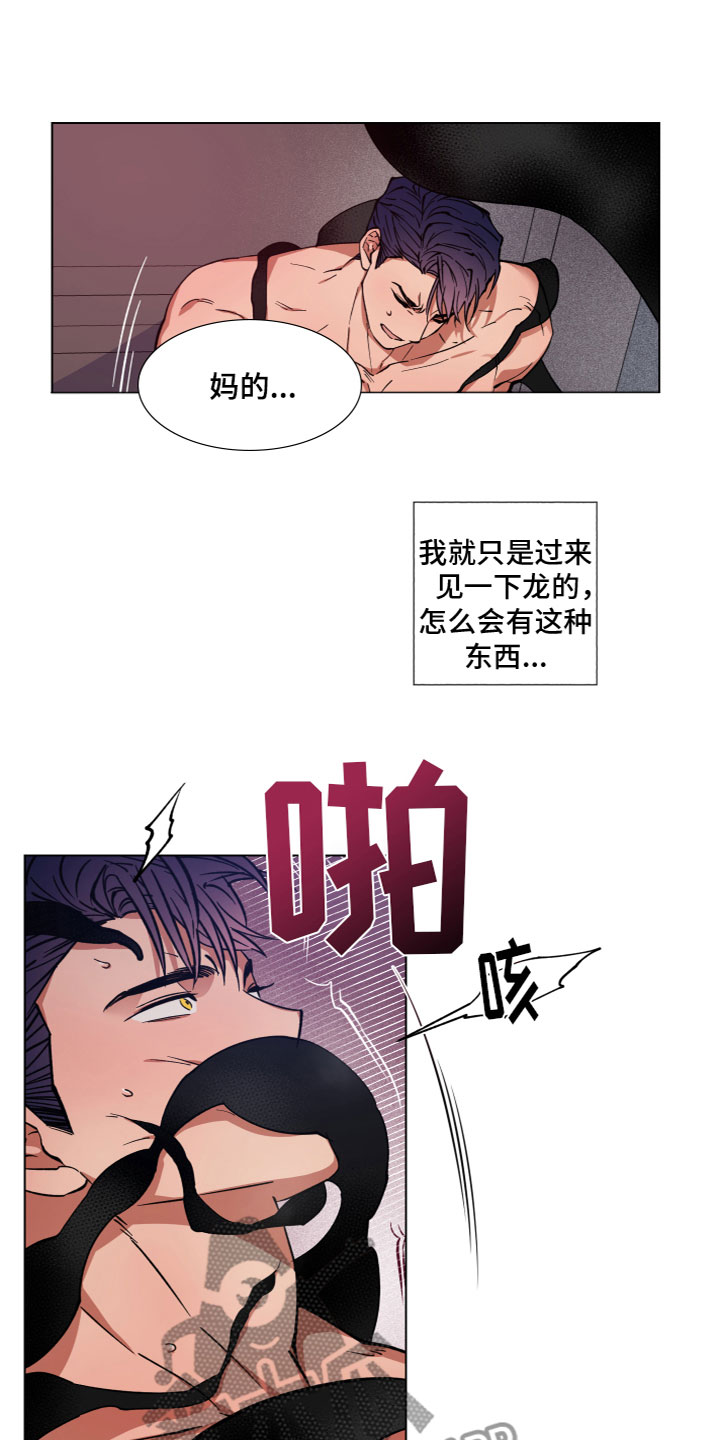 第5章：出现10
