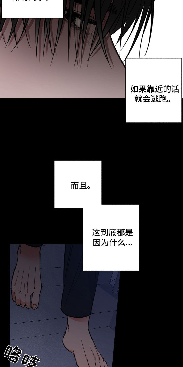 第11章：罪恶感15