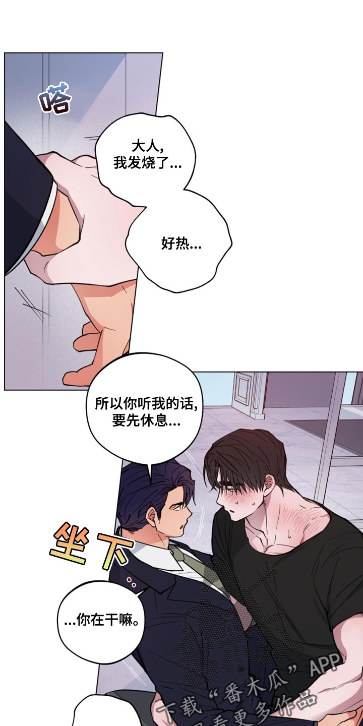 第24章：让我冷静就好了19