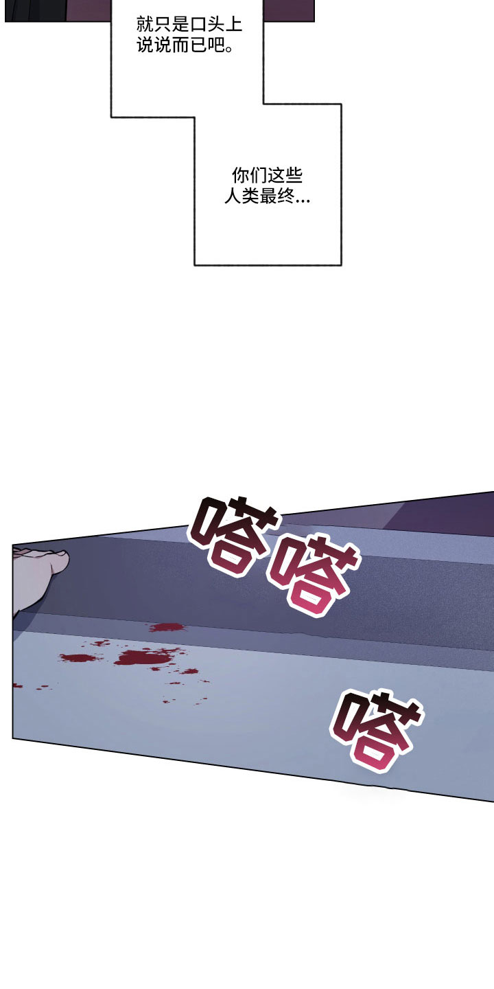 第41章：又做错什么了13