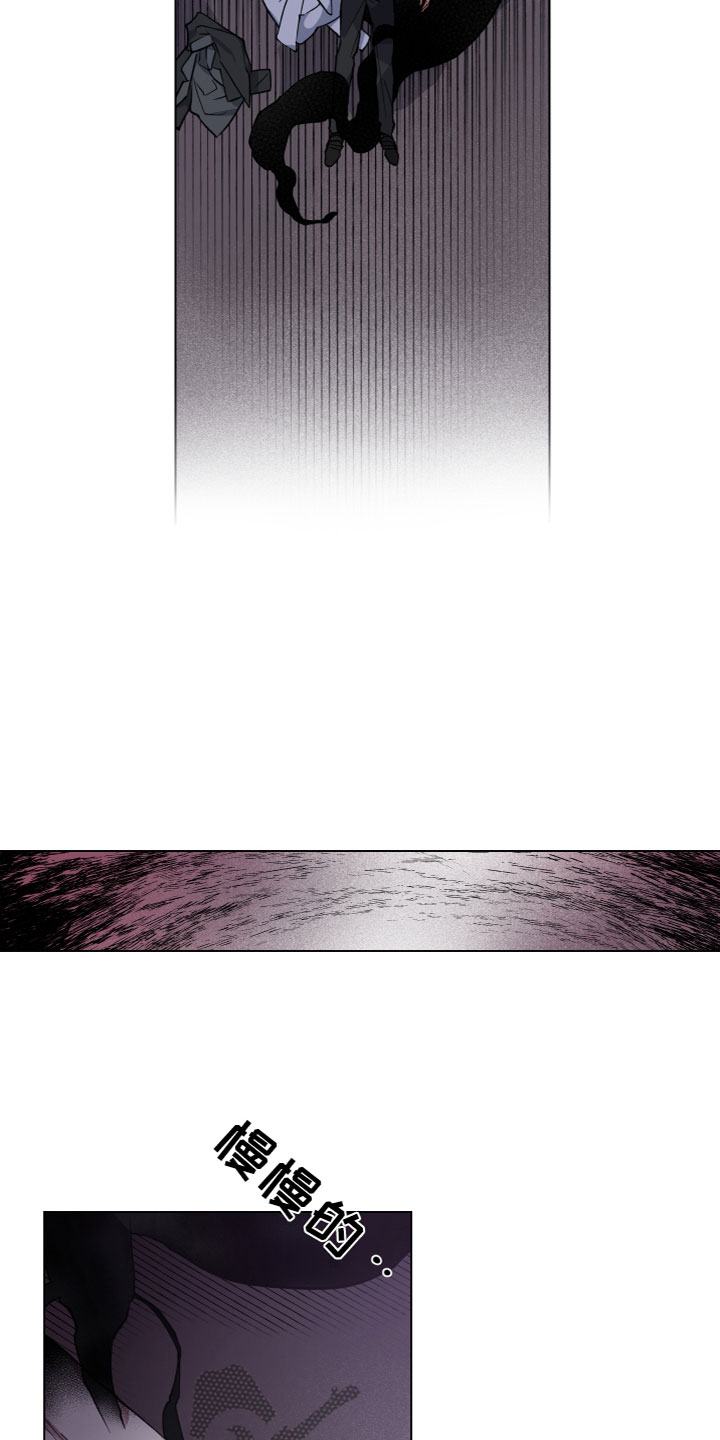 第5章：出现14