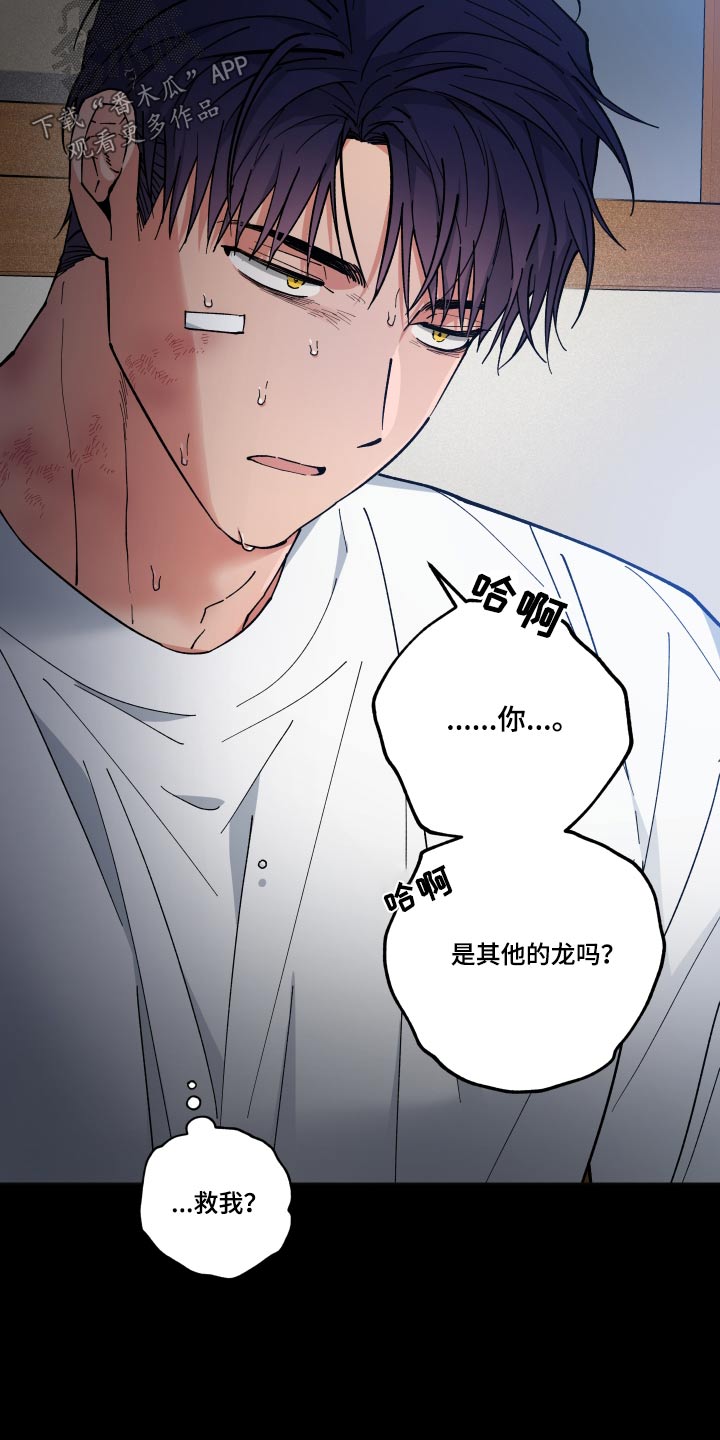 第58章：怎么回事11