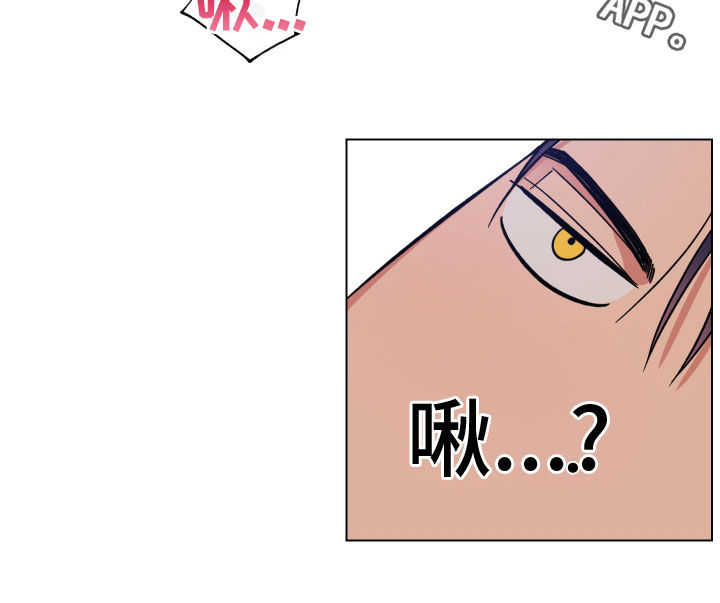 第15章：神志不清18