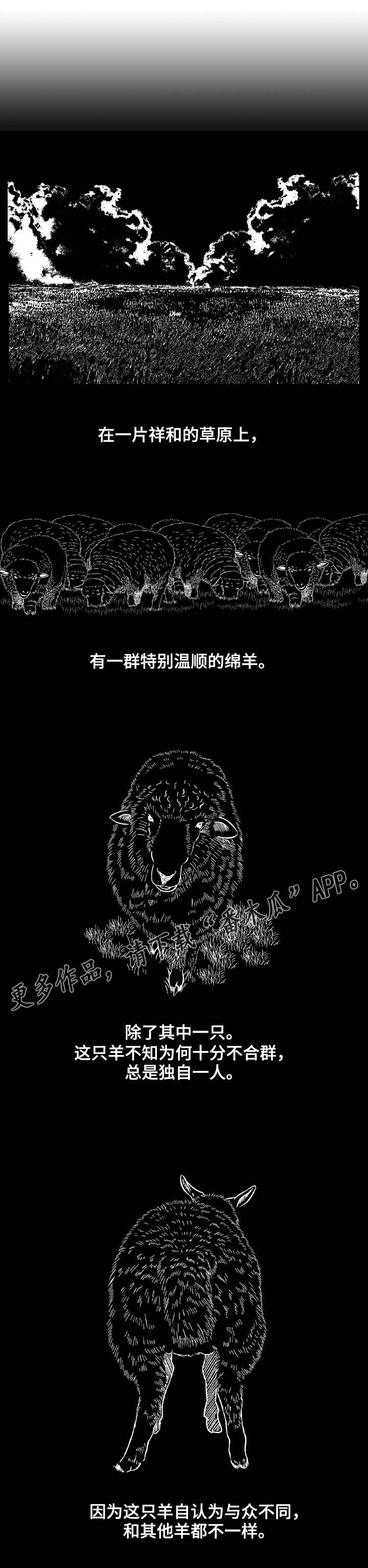 第11章：羊群与狼6