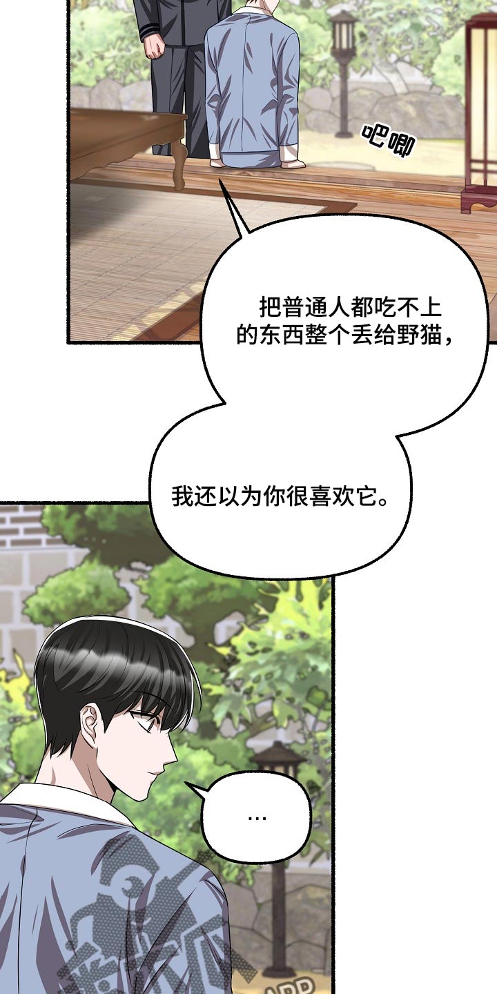 第124章：喂猫19