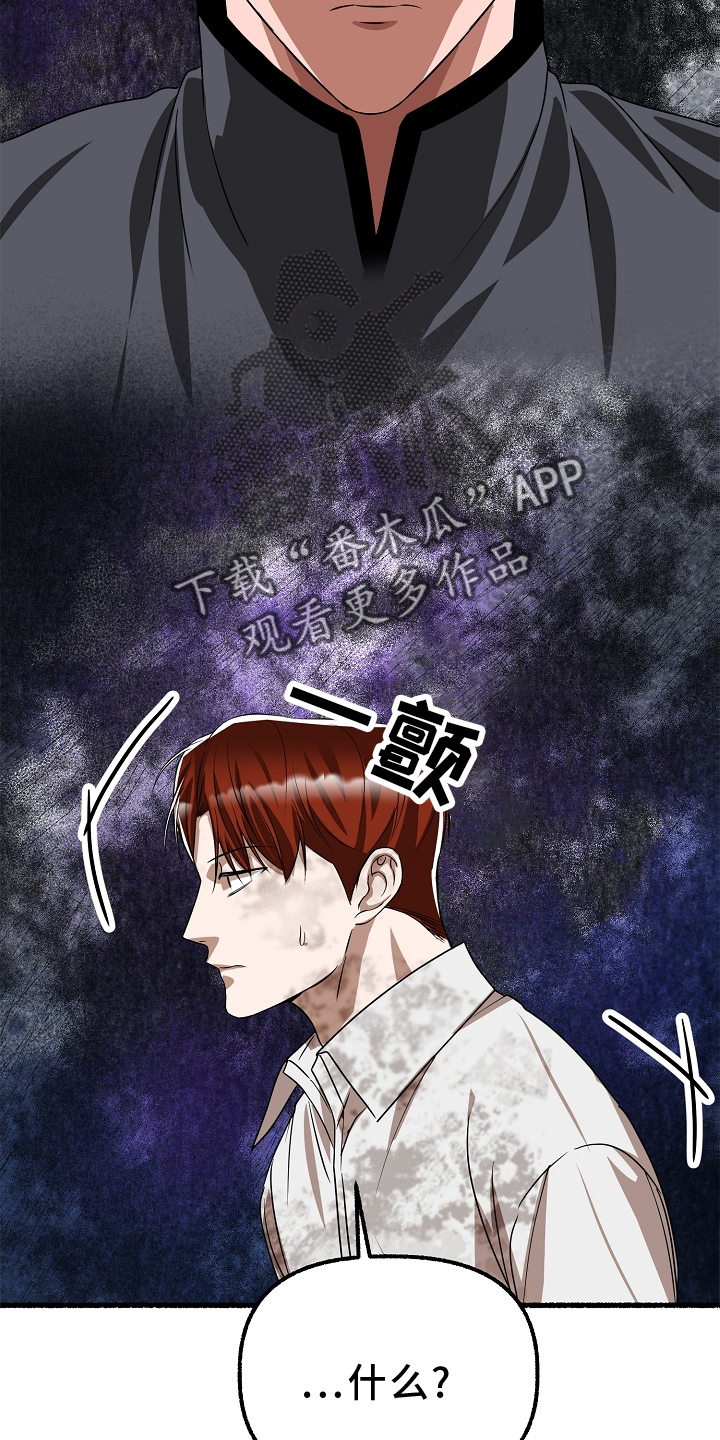 第163章：下令就好4