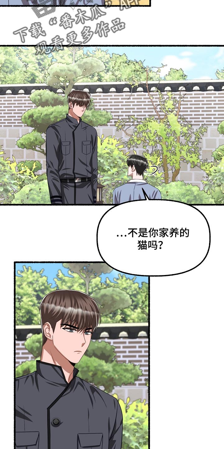 第124章：喂猫20