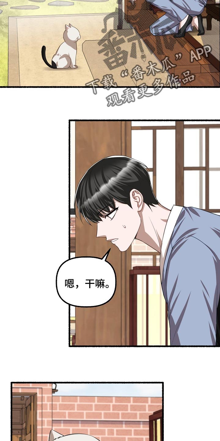 第124章：喂猫8