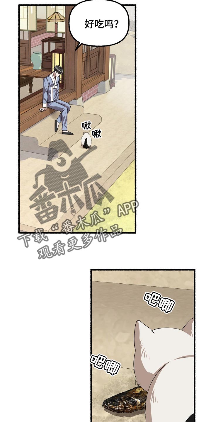 第124章：喂猫12