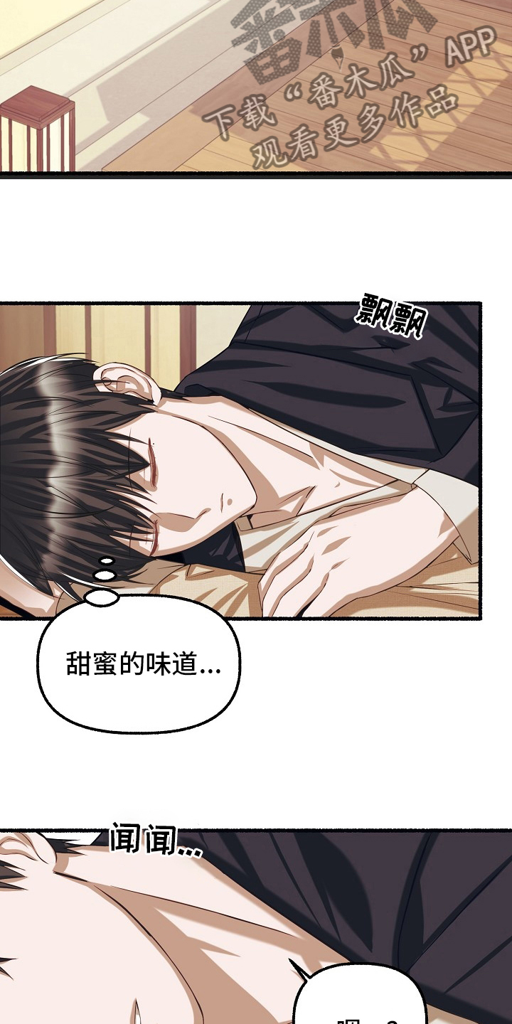 第93章：梅花13
