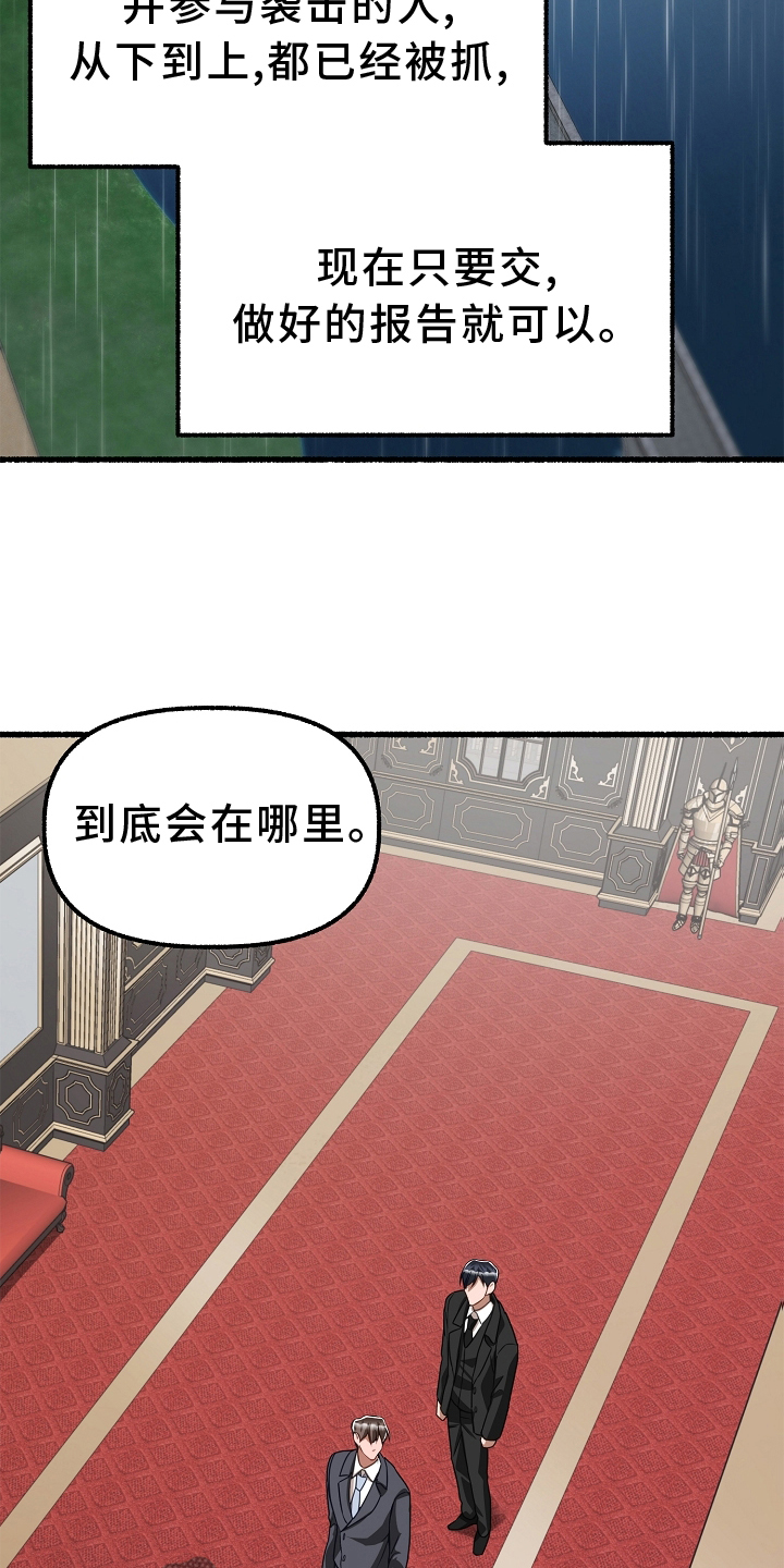 第163章：下令就好14