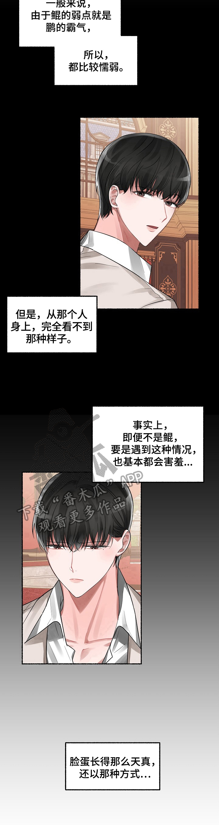 第6章：底细8