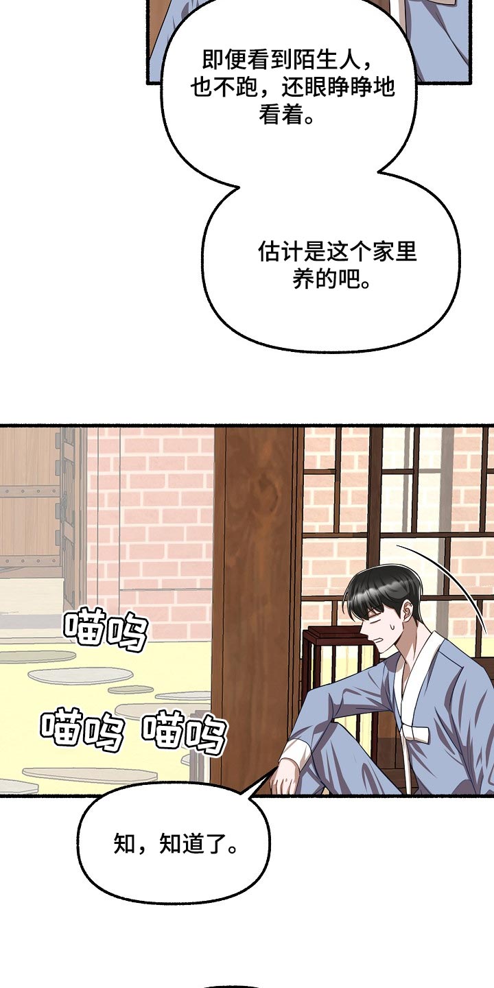 第124章：喂猫11