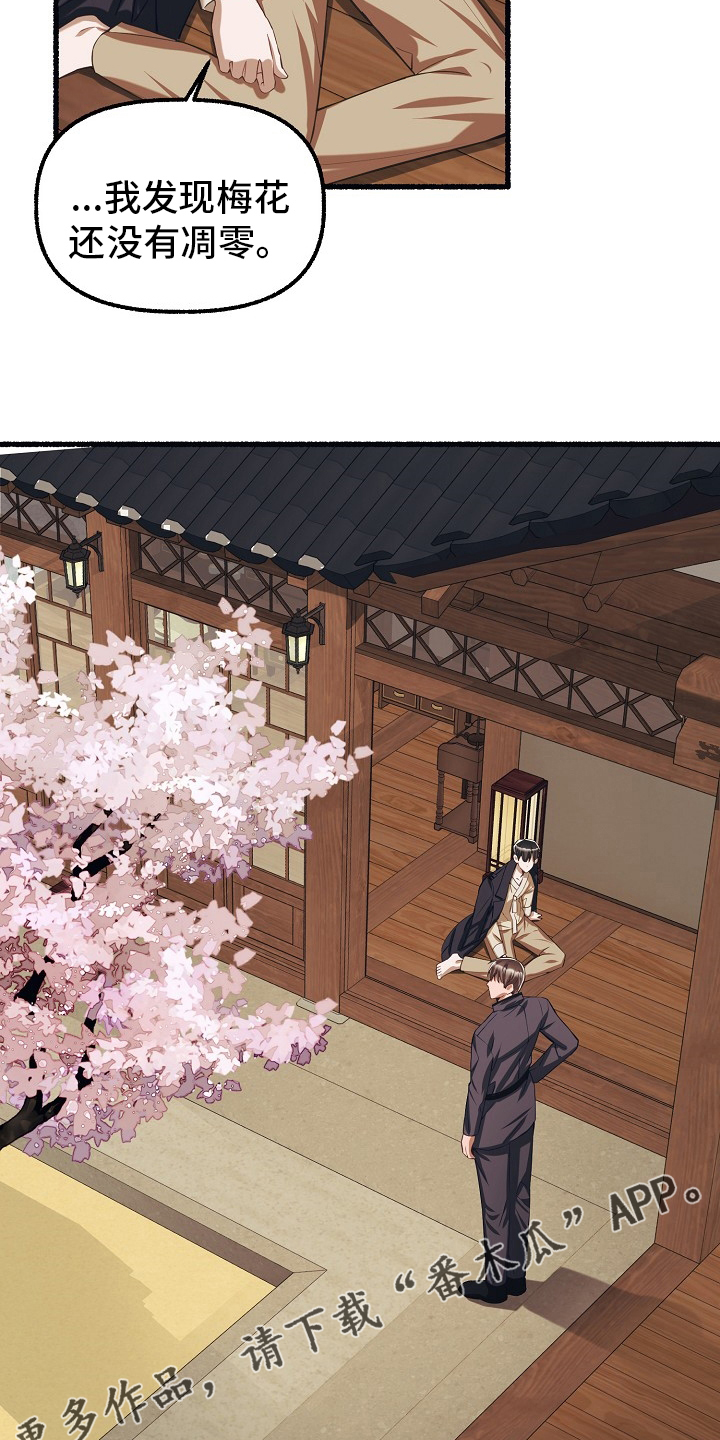 第93章：梅花17