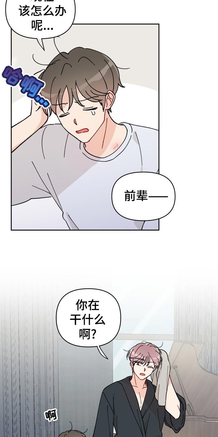 第17章：最后一集11