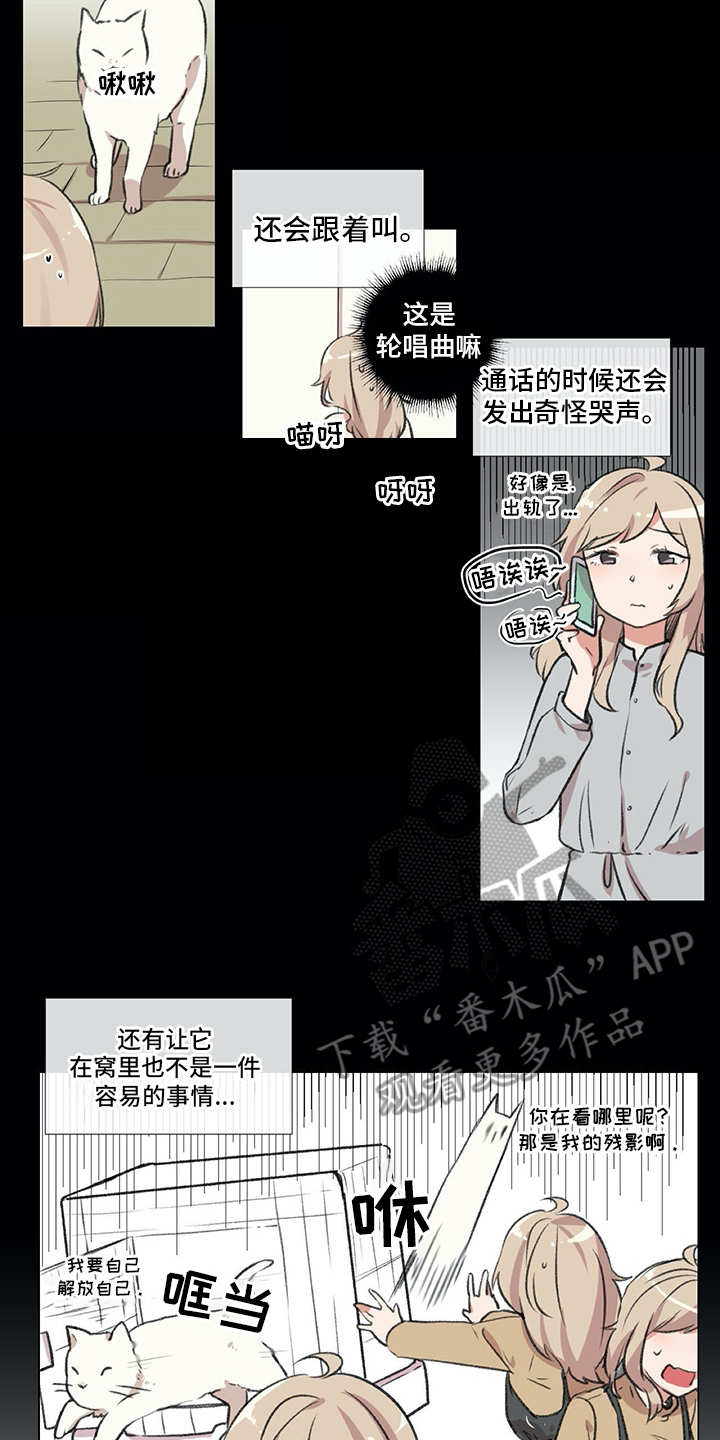 第18章：猫奴16