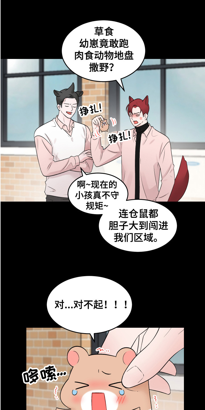 第18章：表白 17