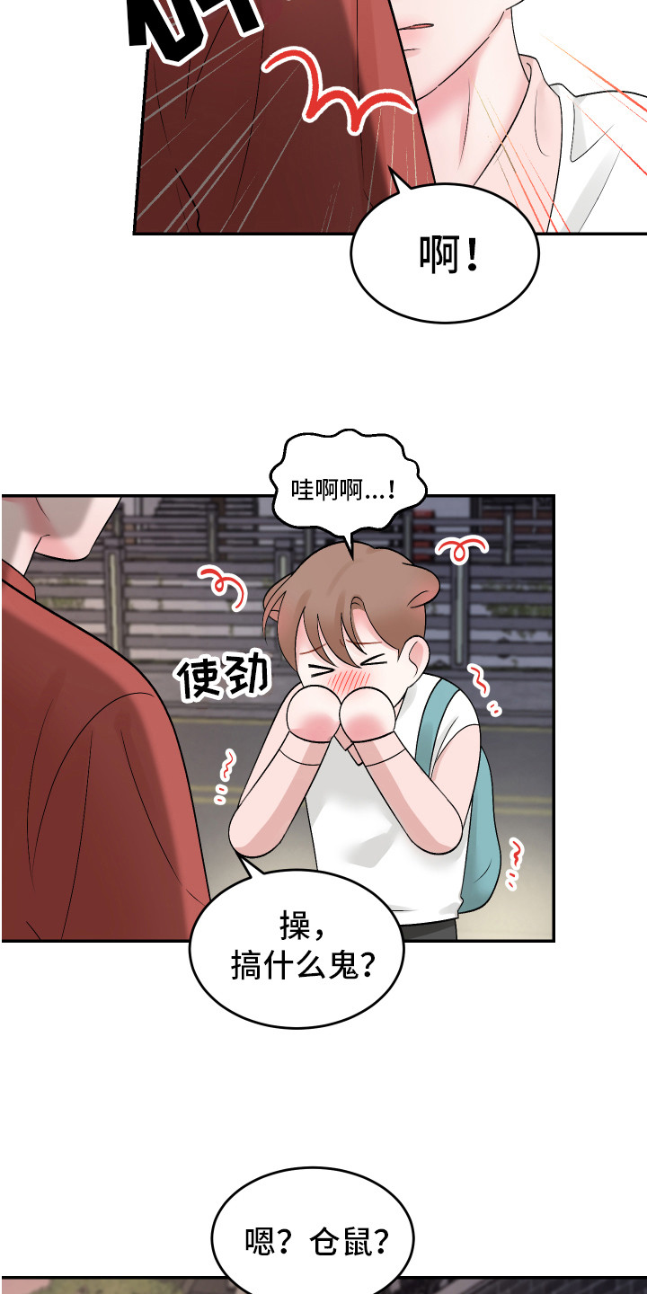 第16章：下定决心15