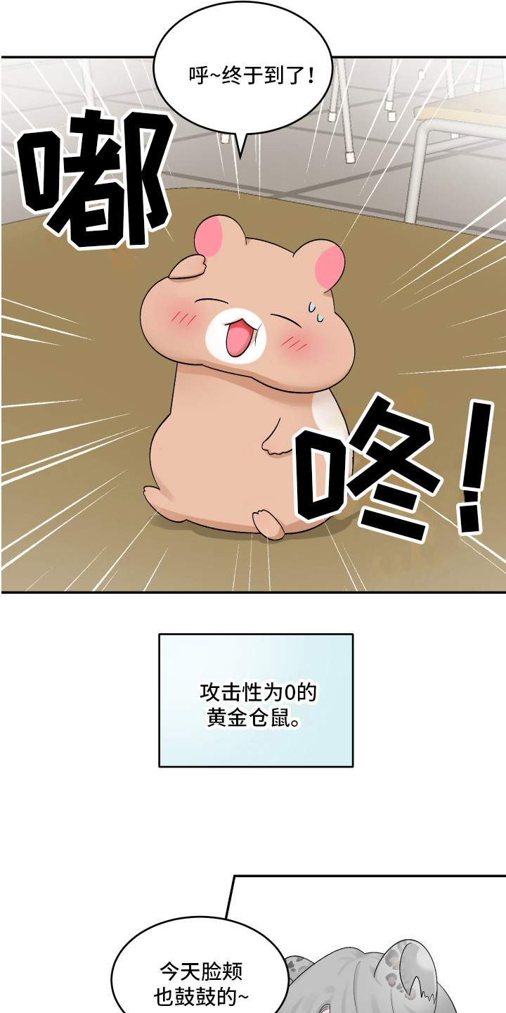 第1章：仓鼠9
