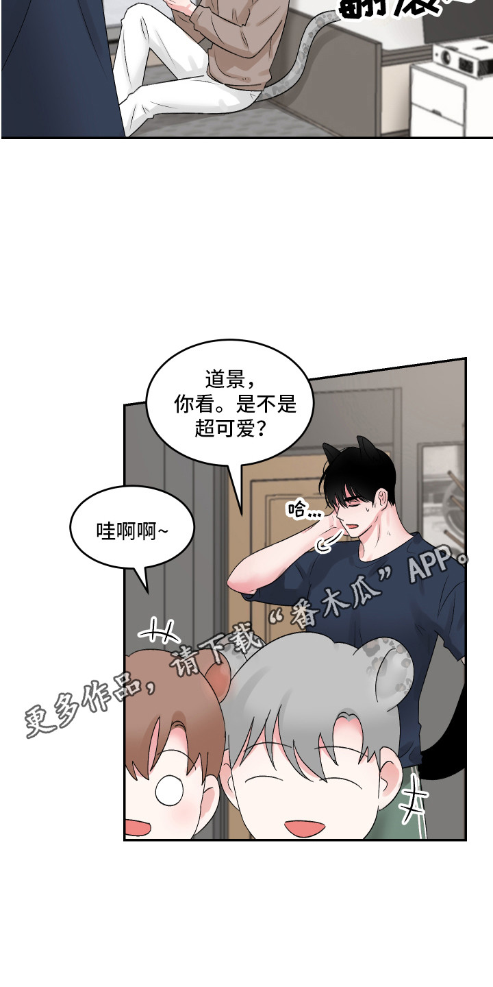 第11章：坦然10