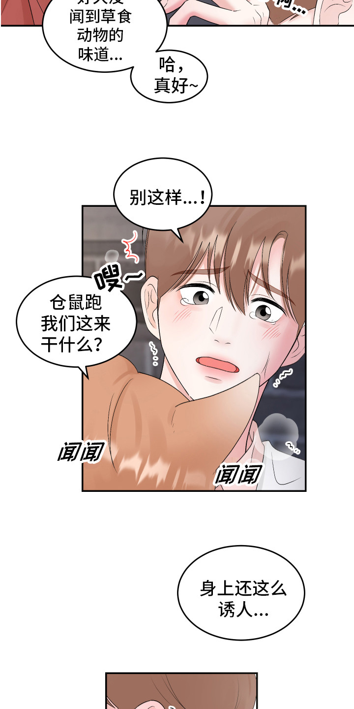 第17章：解围3