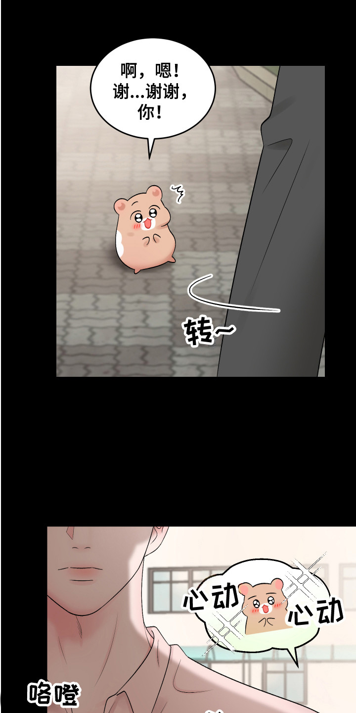 第19章：计划5