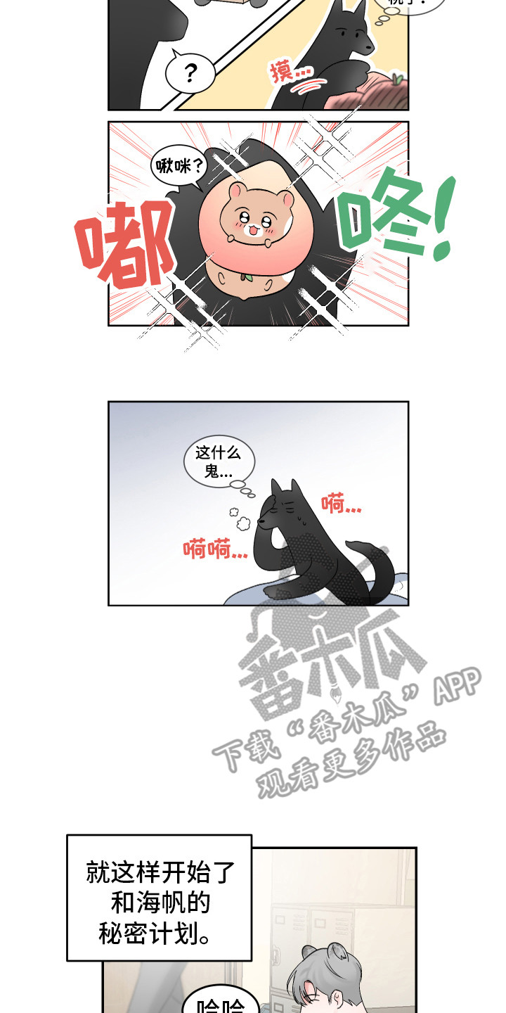 第19章：计划12