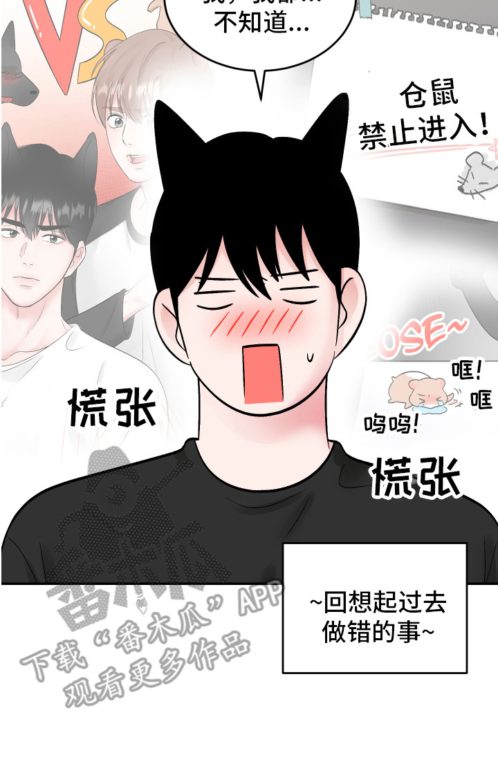 第19章：计划15