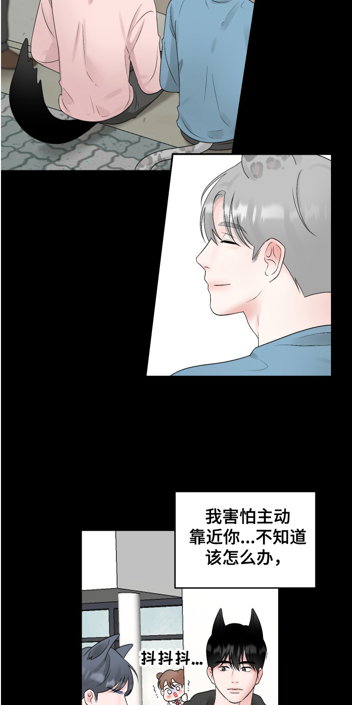 第19章：计划7