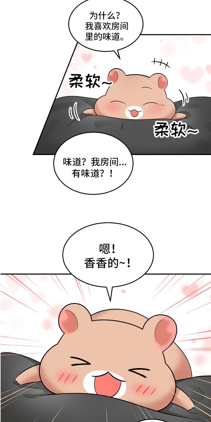 第11章：坦然17