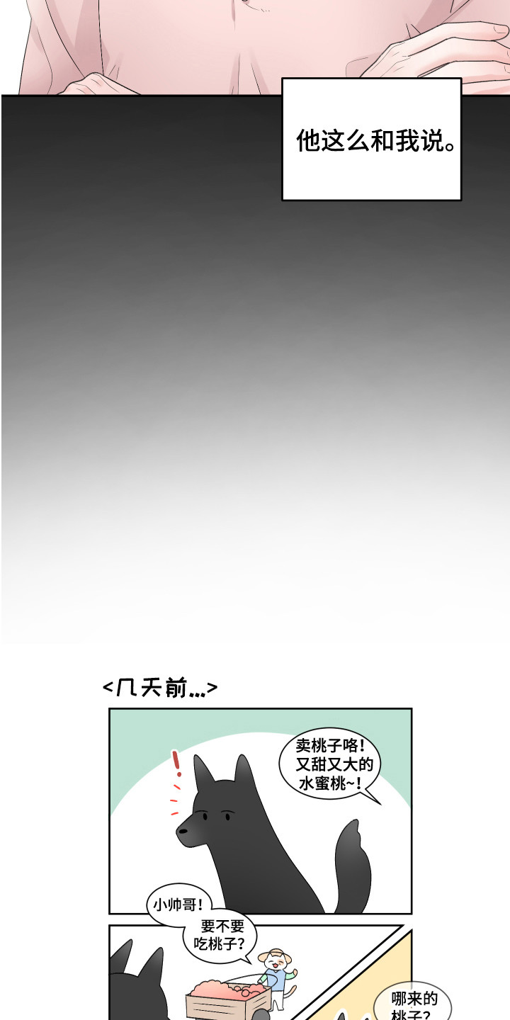第19章：计划11