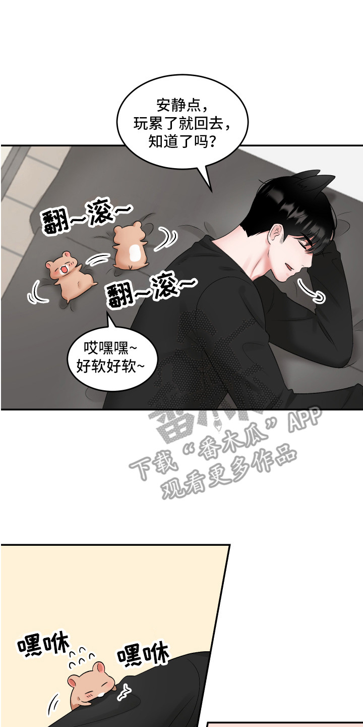 第12章：闹腾6