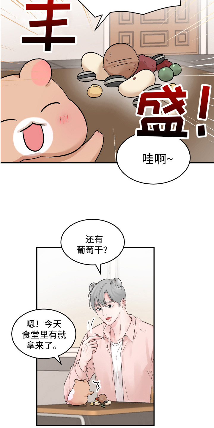 第1章：仓鼠11