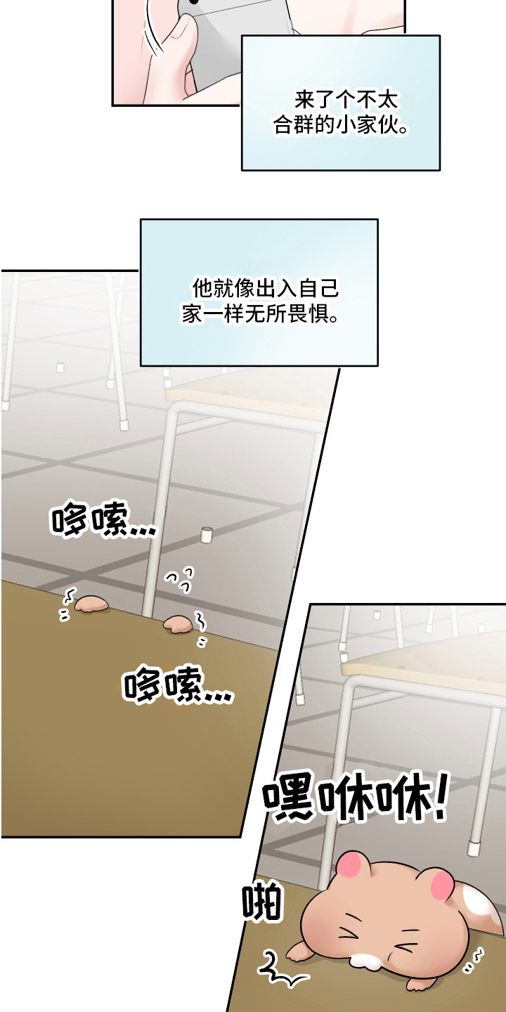 第1章：仓鼠7