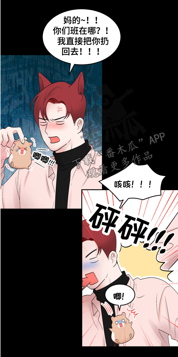 第19章：计划0