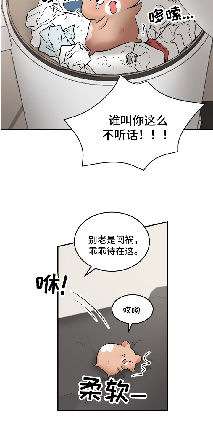 第12章：闹腾5