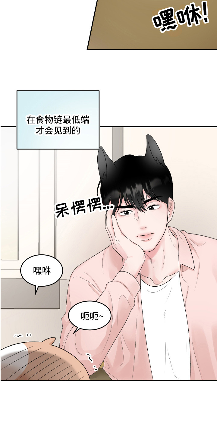 第1章：仓鼠8