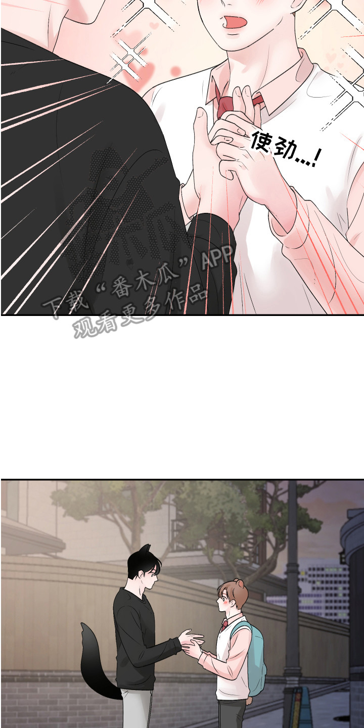 第20章：交往 1