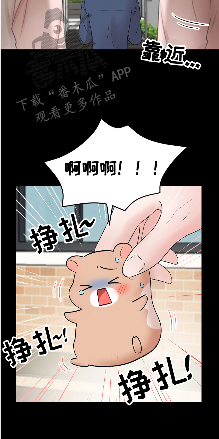 第18章：表白 16